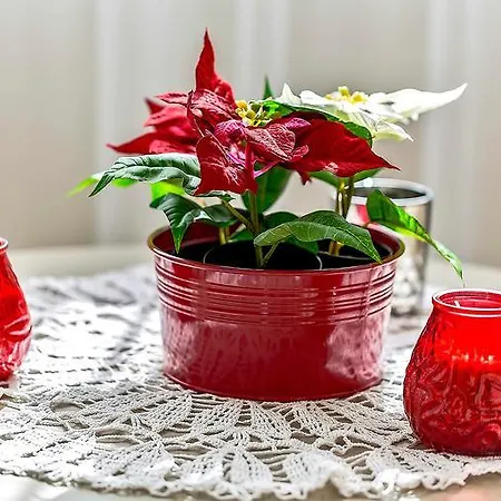 Doble Playa Playa Paraiso (Tenerife)